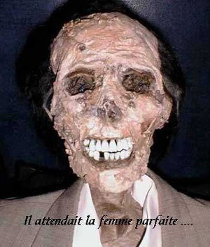 la femme parfaite